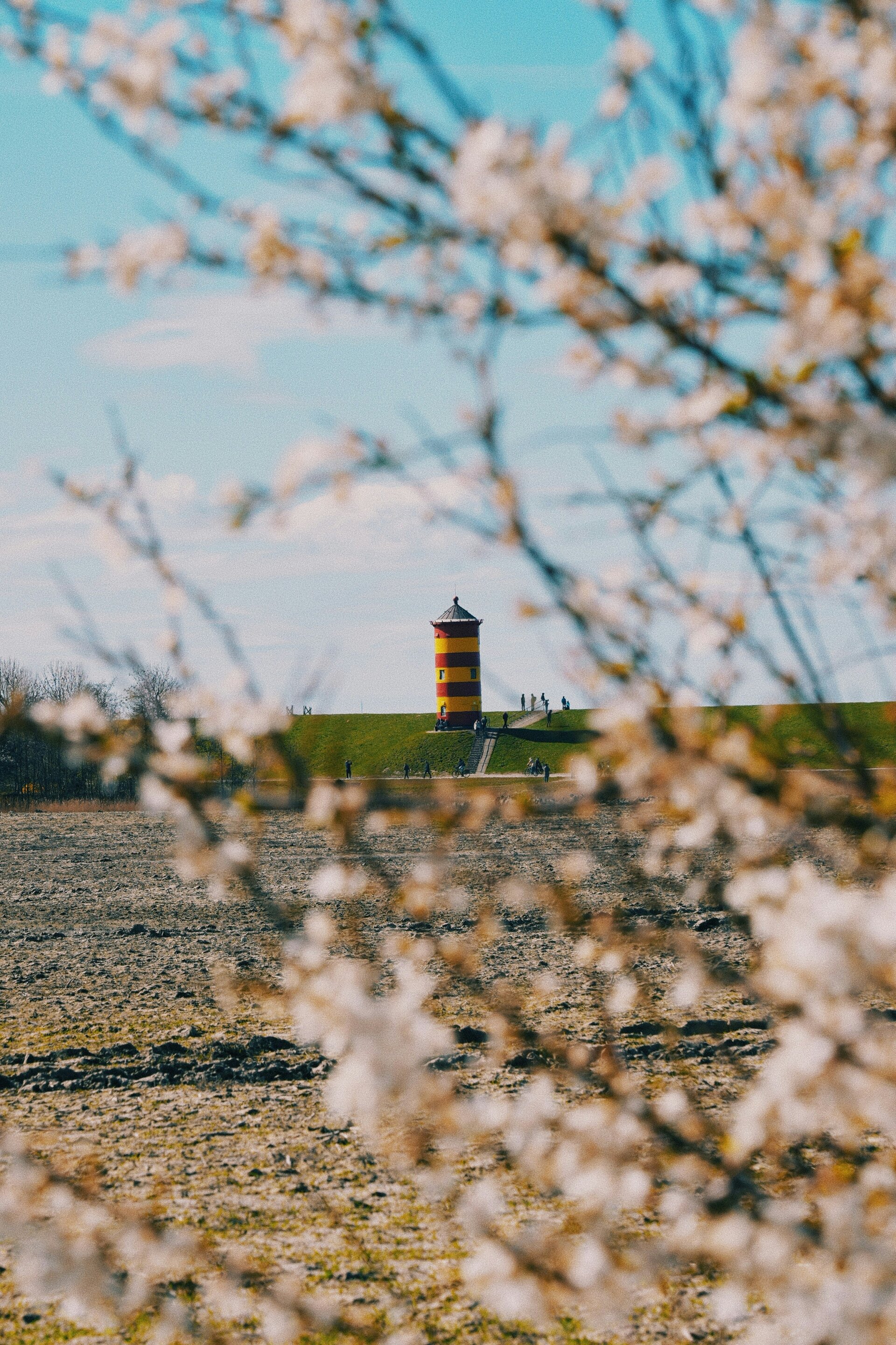 Fotospot Pilsumer Leuchtturm: The photo captures a vibrant red and yellow lighthouse positioned on a green hill, framed by blooming tree branches in the foreground. The scene is set against a clear blue sky, with several people walking along the path towards the lighthouse.