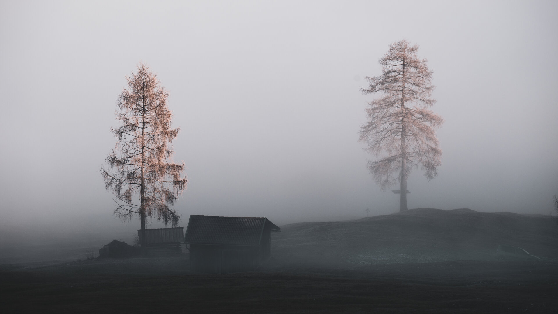 Stiglreith