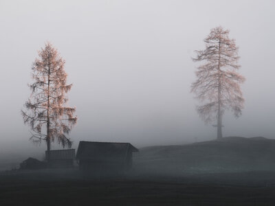 Stiglreith