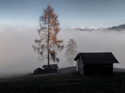 Stiglreith