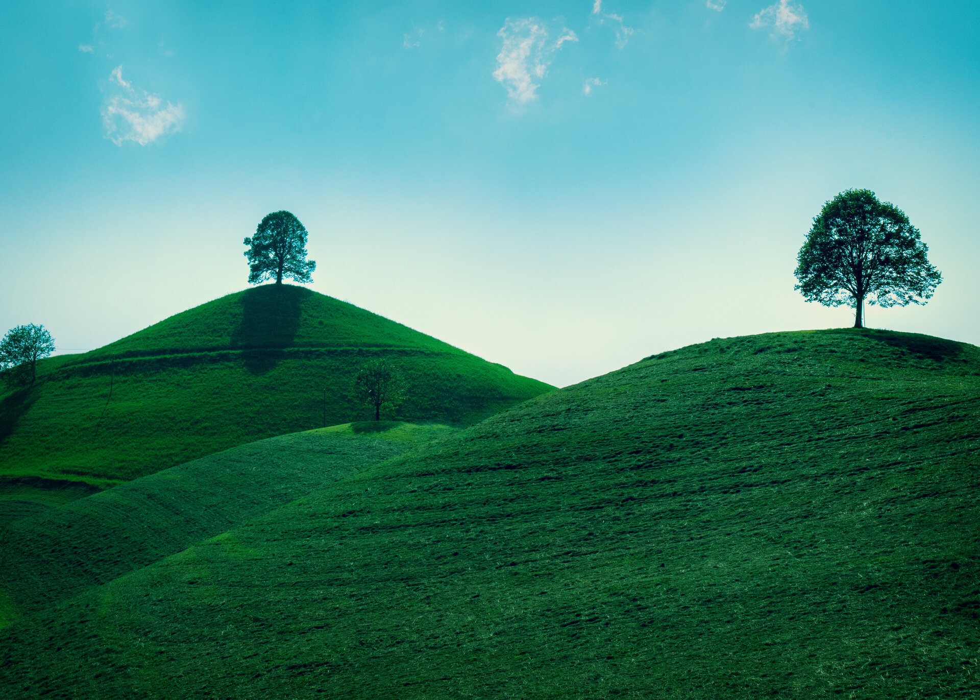 Drumlins Hirzel