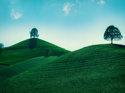Drumlins Hirzel