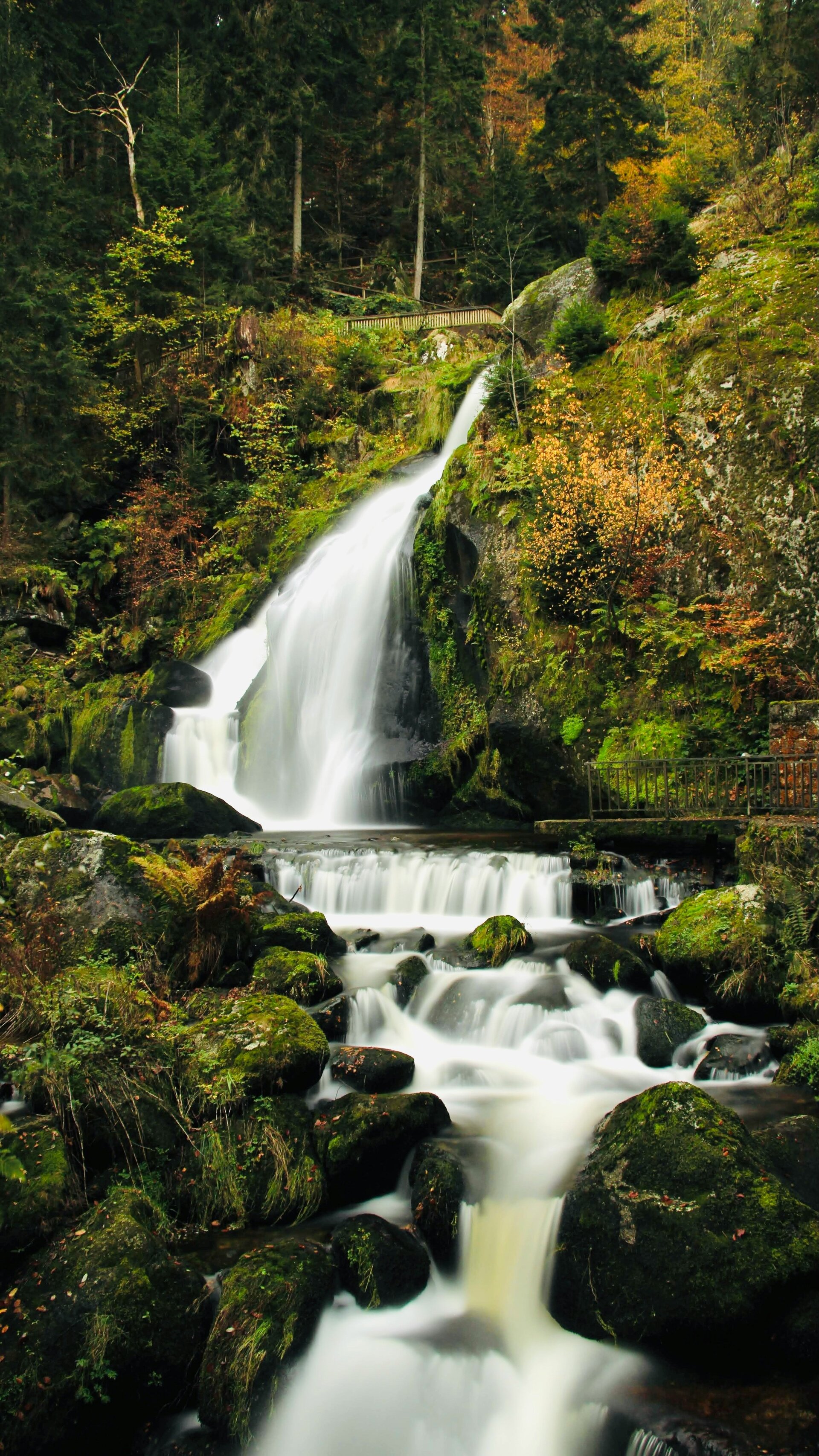Fotospot Triberger Wasserfälle: a small waterfall in the middle of a forest