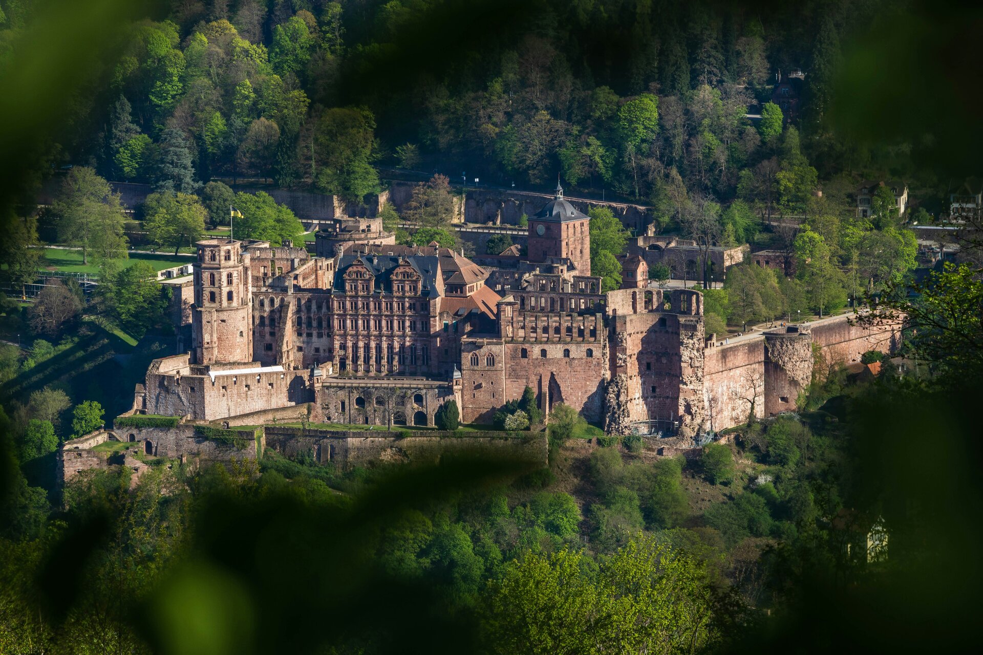 Fotospot Schlossblick: majestic