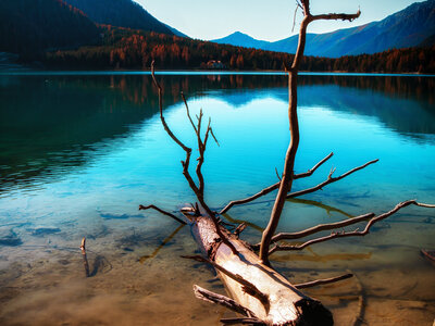 Antholzer See