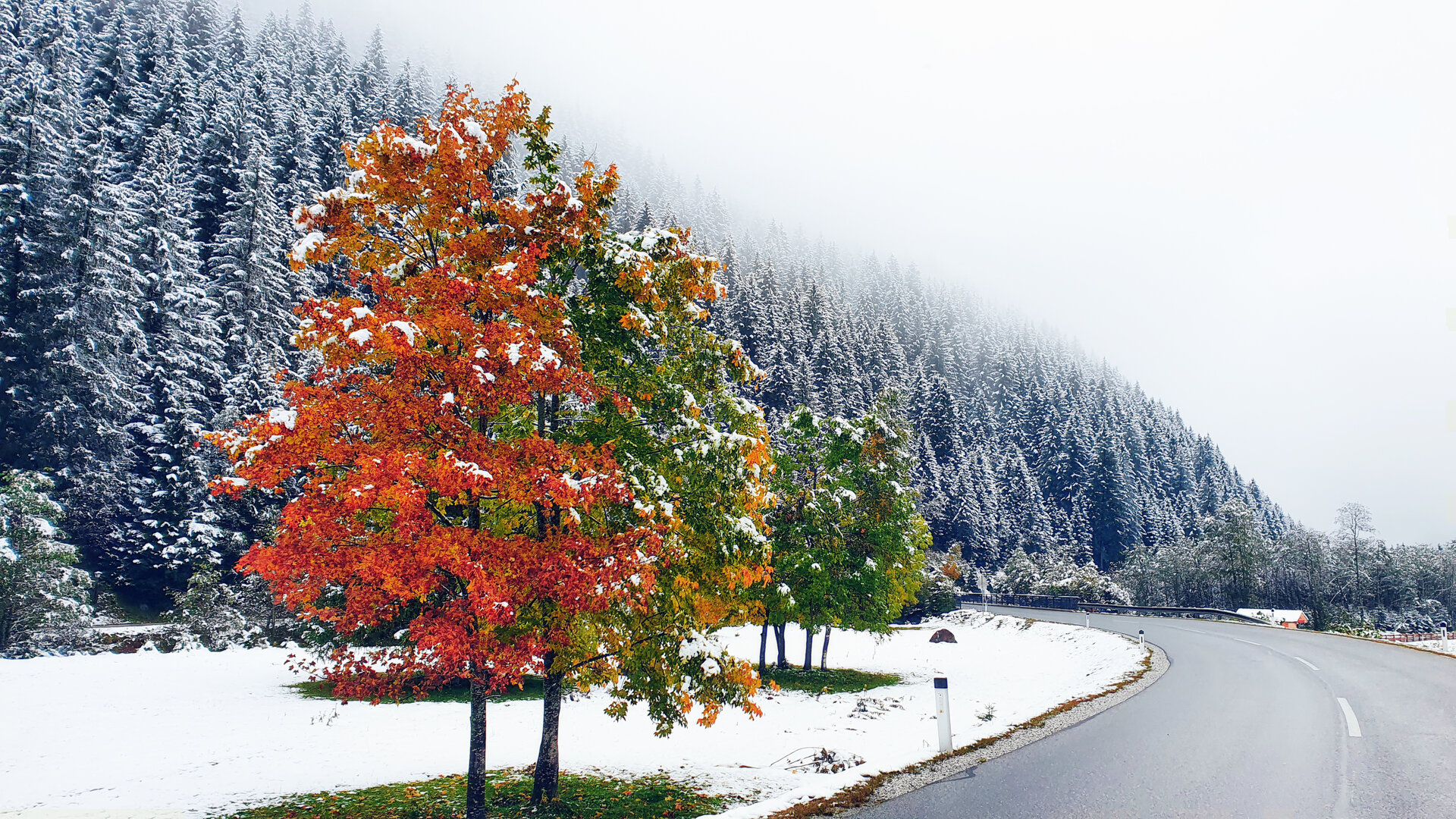 an der Doadler Alm
