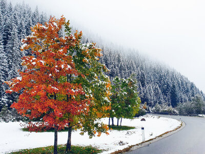 an der Doadler Alm: Herbst vs. Winter