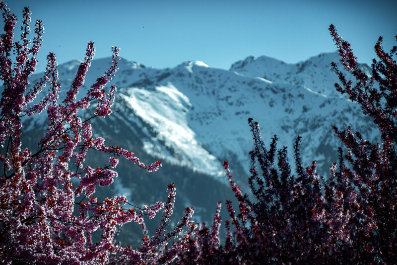 Frühling vs Winter